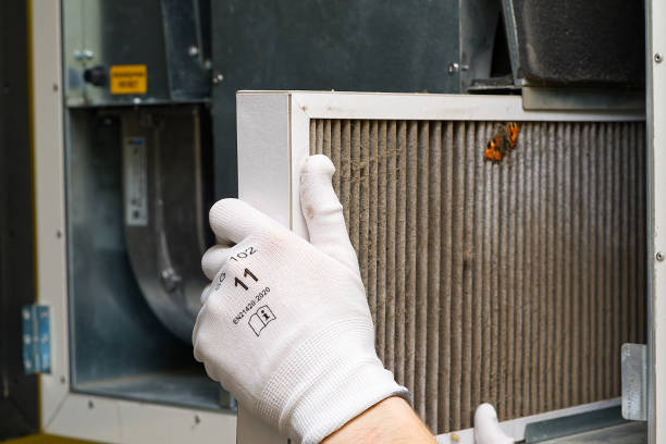 Best Affordable Duct Cleaning Services  in El Segundo, CA